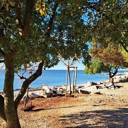 Apartment Istria Замбратия Екстериор снимка